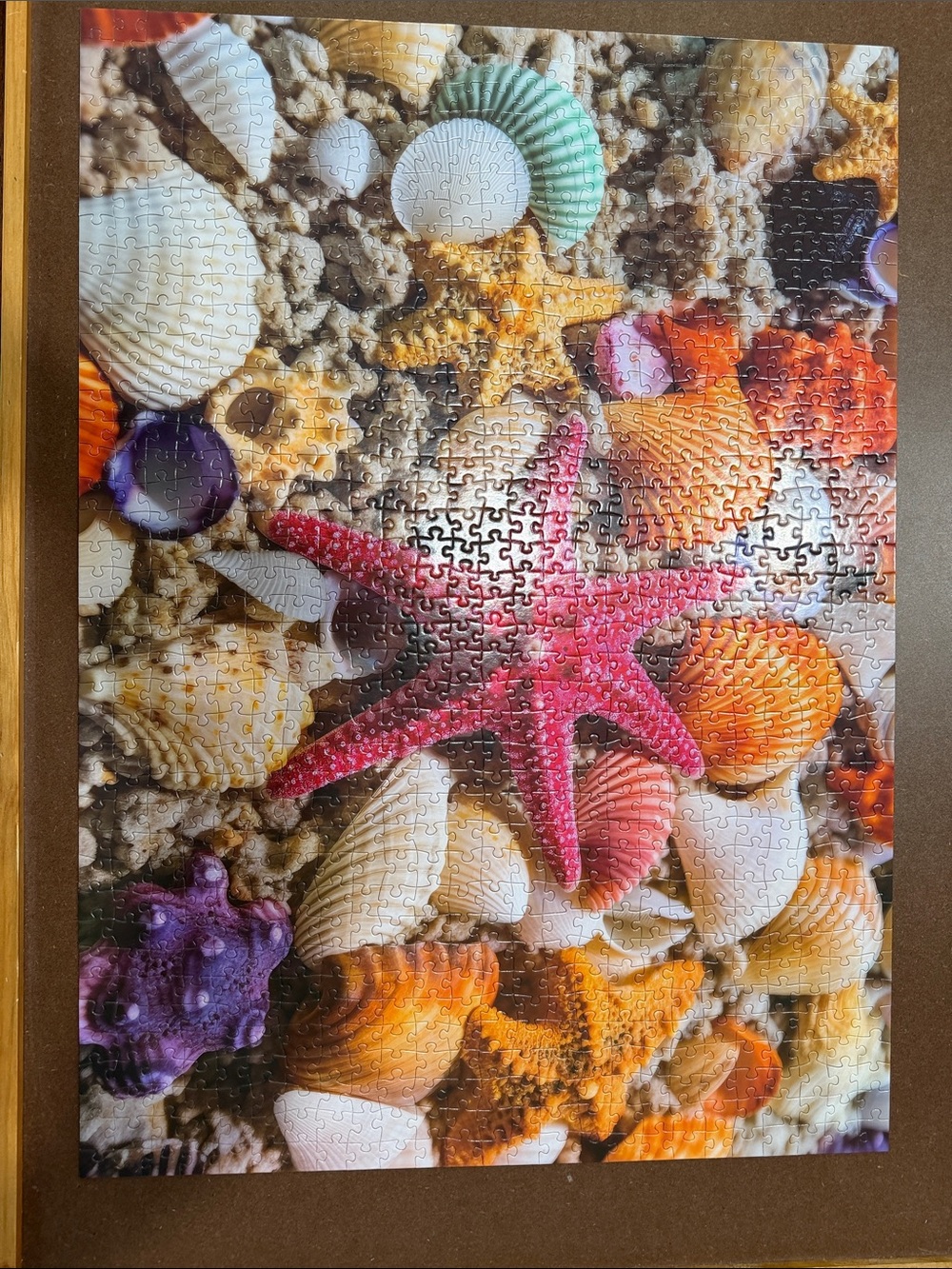 Seashells & Starfish 1000-Piece Jigsaw Puzzle